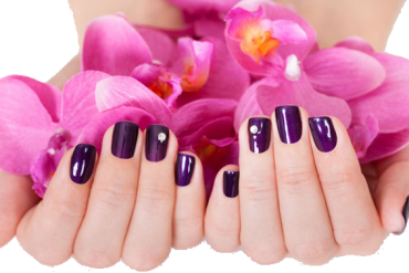 Manicure Basic